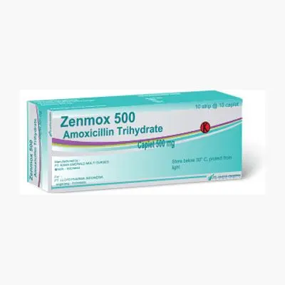 ZENMOX 500 MG KAPLET