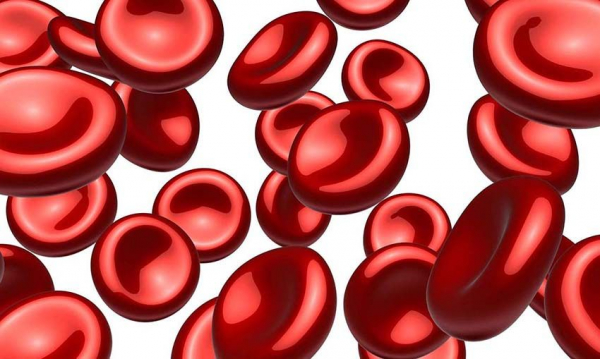 Sangobion, Suplemen Penambah Darah Terpercaya Lebih Dari 40 Tahun