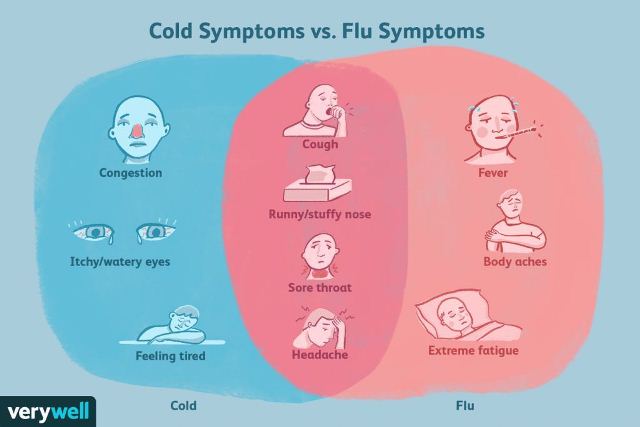 perbedaan pilek dan flu atau influenza