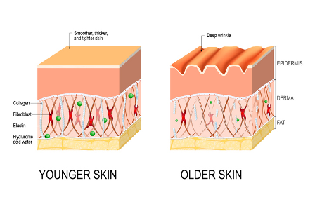 manfaat kolagen untuk kesehatan kulit