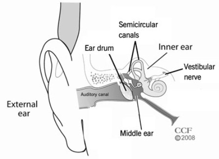 masalah pada telinga bagian dalam sebagai penyebab vertigo
