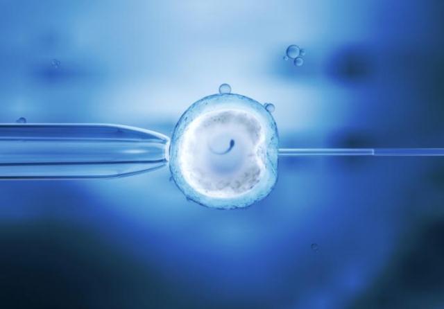 bayi tabung pada kasus infertilitas